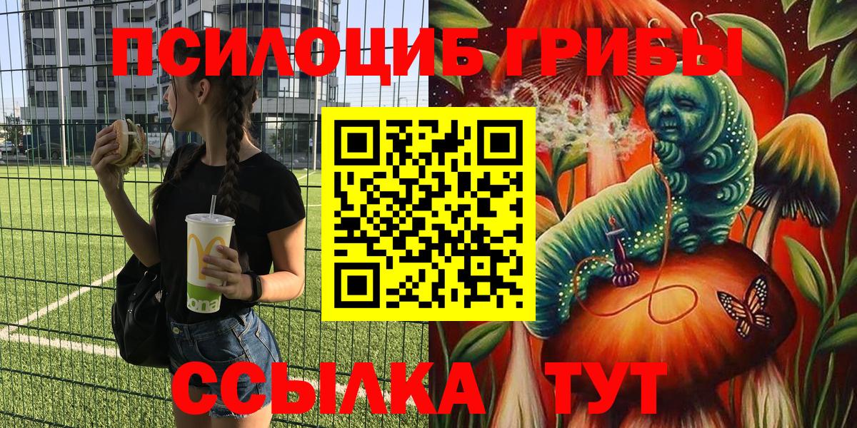 Псилоцибиновые грибы MAGIC MUSHROOMS  Псилоцибиновые грибы прущие грибы  Сальск  Вход с VPN 