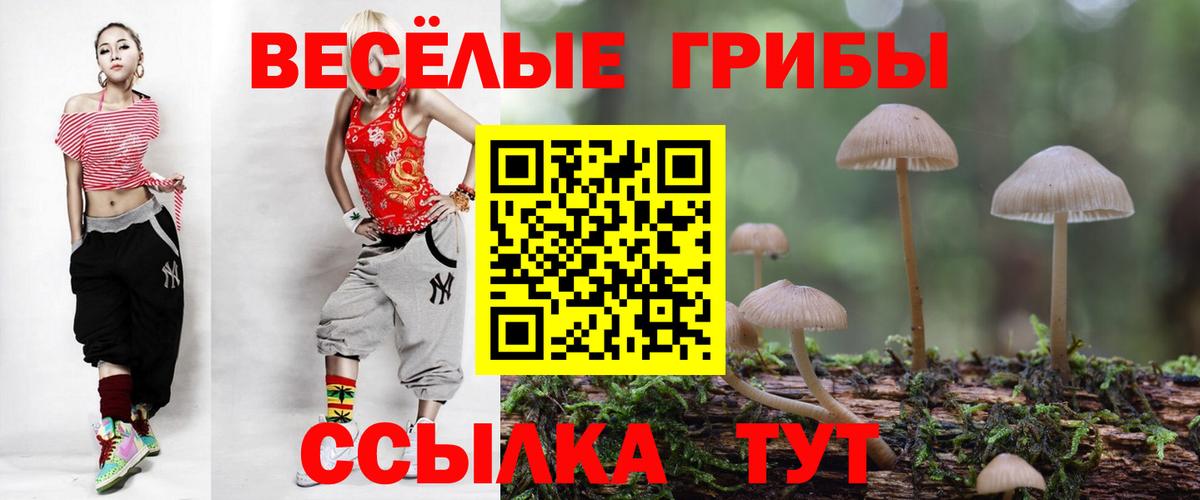 Галлюциногенные грибы Magic Shrooms Сальск