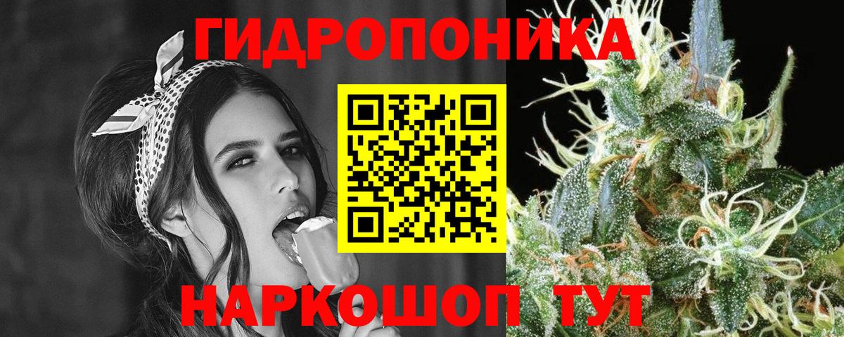 Марихуана ГИДРОПОН  Вход с VPN  Сальск  Бошки марихуана MAZAR  Марихуана Ganja 